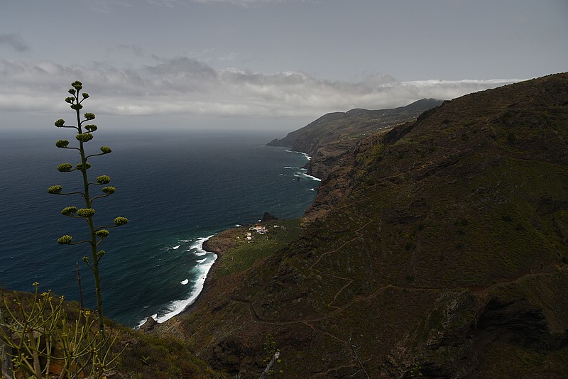DSC_2377RAW.jpg