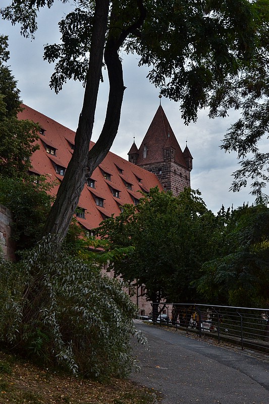 DSC_8235RAW.jpg