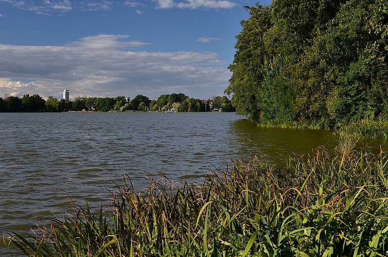 DSC_8625.JPG