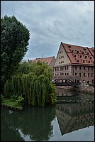 DSC_8134RAW.jpg