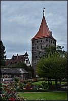 DSC_8213RAW.jpg