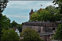 DSC_8228RAW.jpg