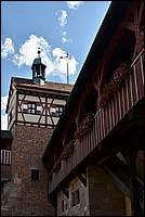 DSC_8335RAW.jpg