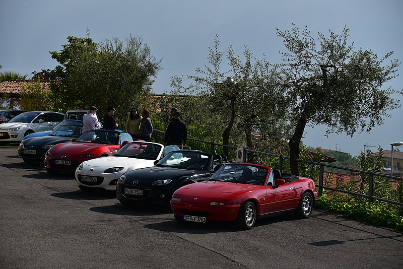 DSC_7832.JPG