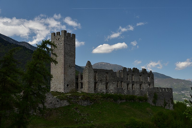 DSC_7876.JPG