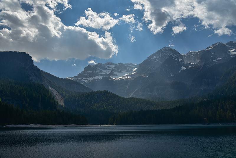 DSC_7897.JPG