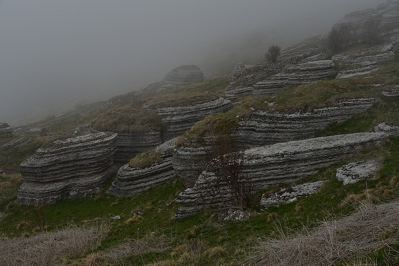 DSC_8115.JPG