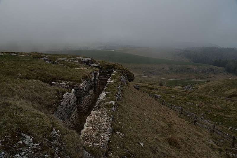 DSC_8118.JPG
