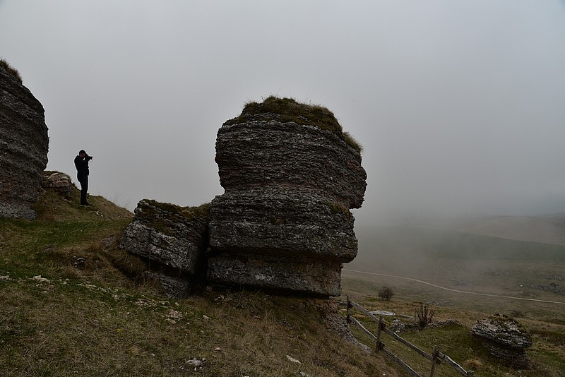 DSC_8122.JPG