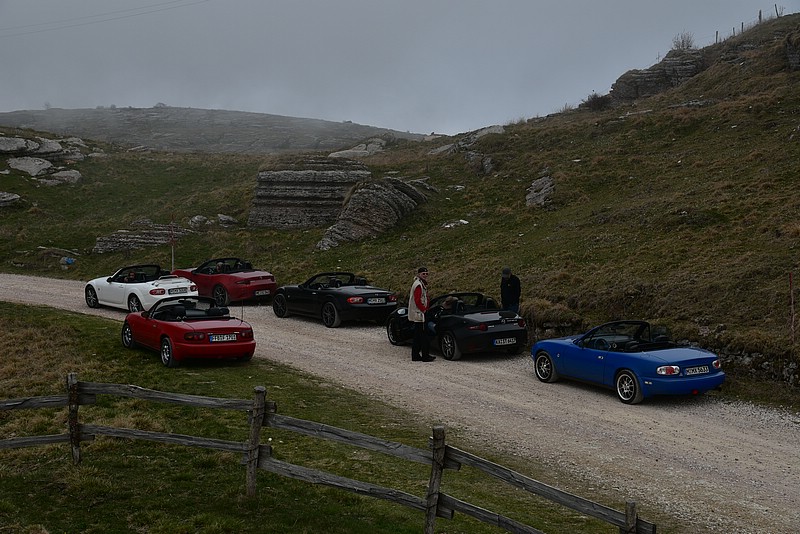 DSC_8133.JPG