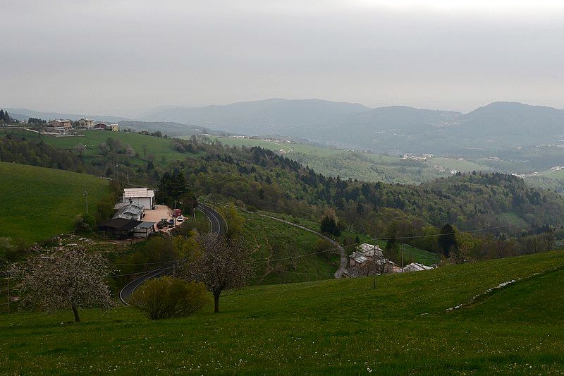 DSC_8152C.jpg