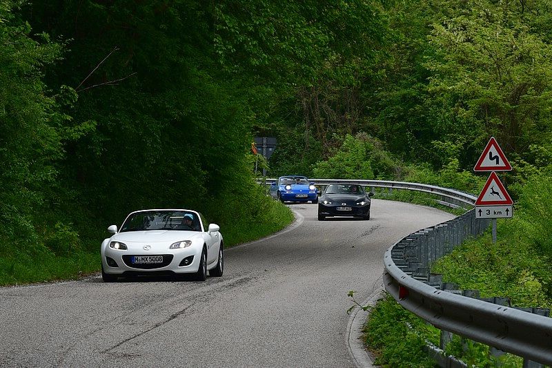 DSC_8165C.jpg