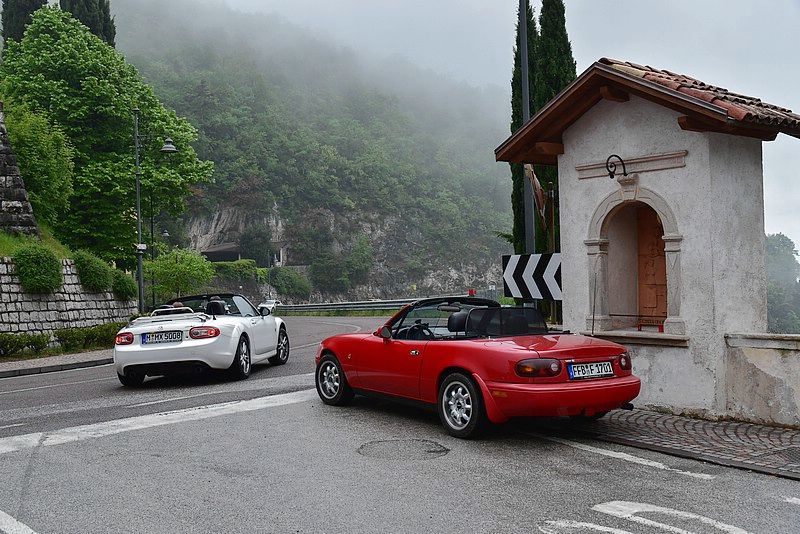 DSC_8235RAW.jpg