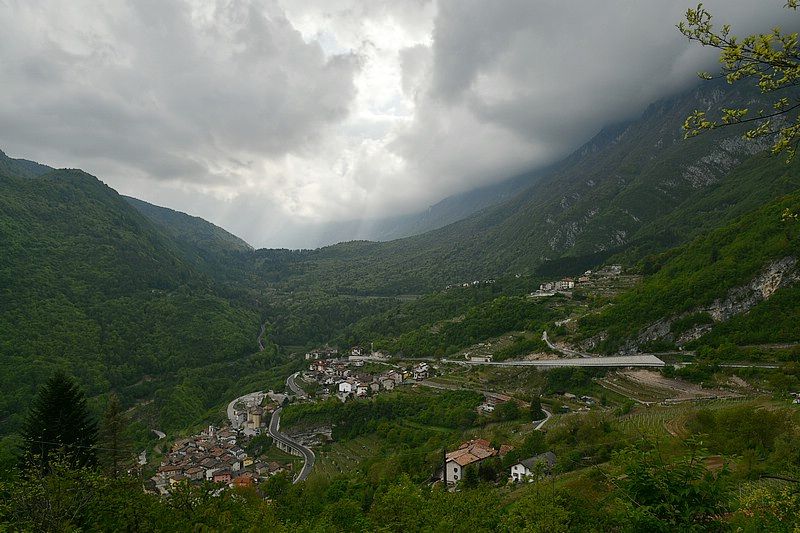 DSC_8287C.jpg