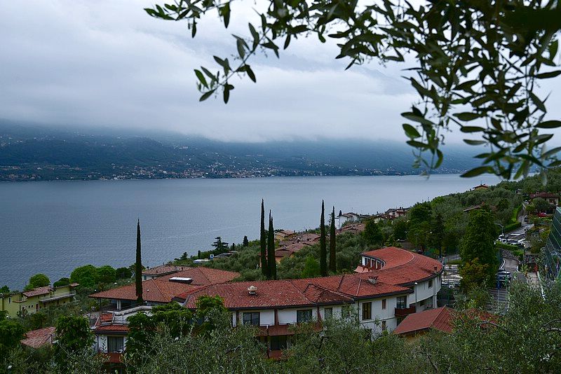 DSC_8569RAw.jpg