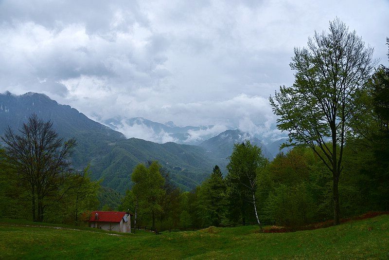 DSC_8579RAW.jpg