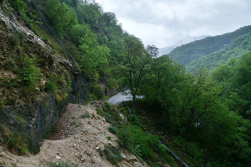 DSC_8597RAW.jpg