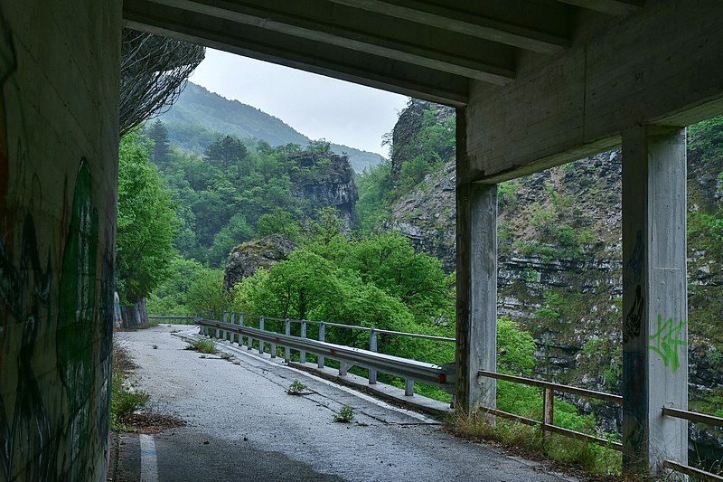 DSC_8618RAW.jpg