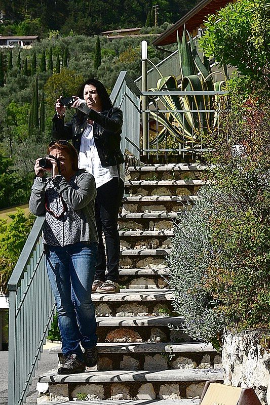 DSC_8643RAW.jpg