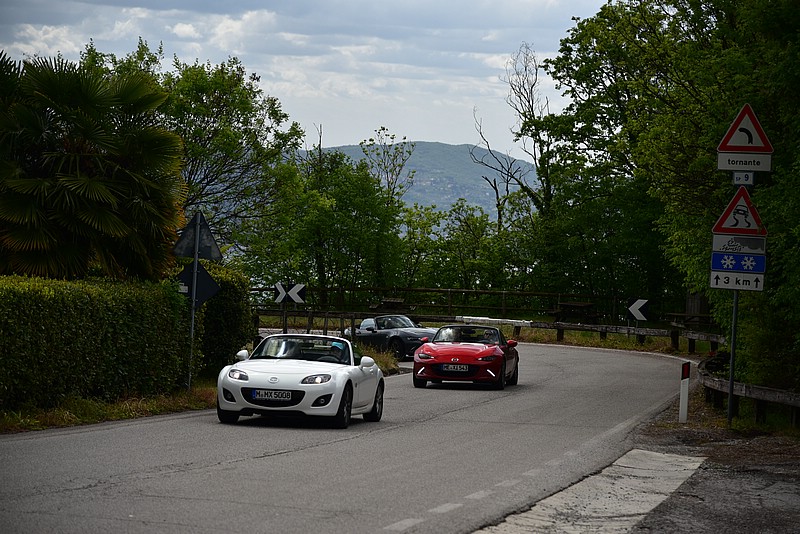 DSC_8656.JPG