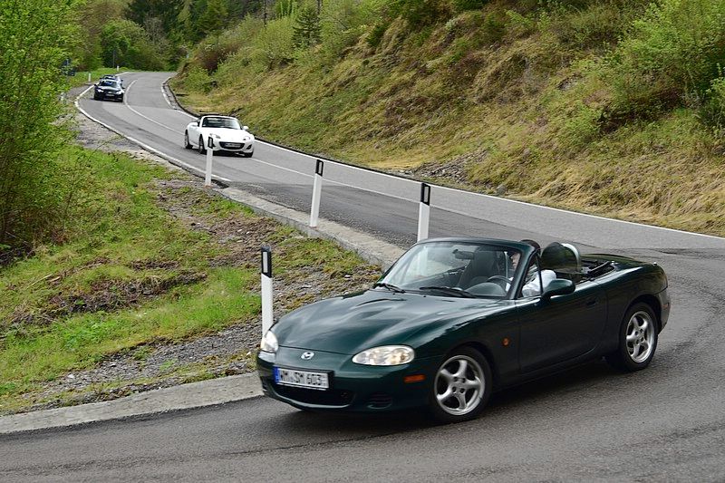 DSC_8698C.jpg