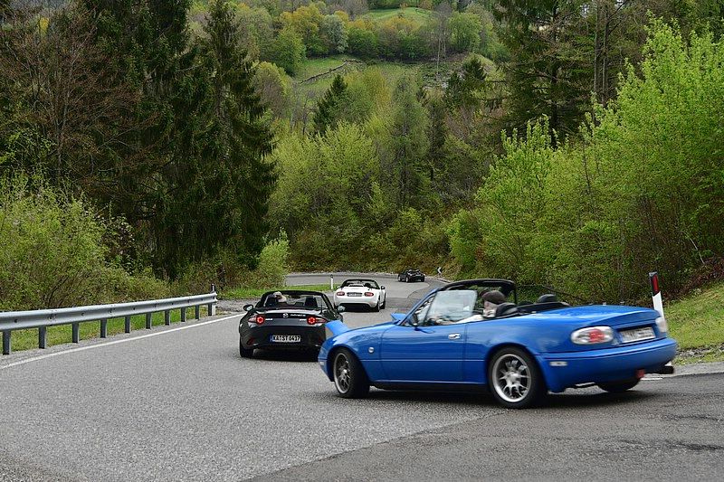 DSC_8714RAW.jpg