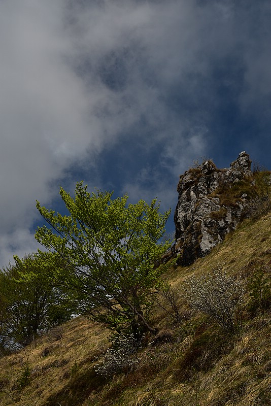 DSC_8733.JPG