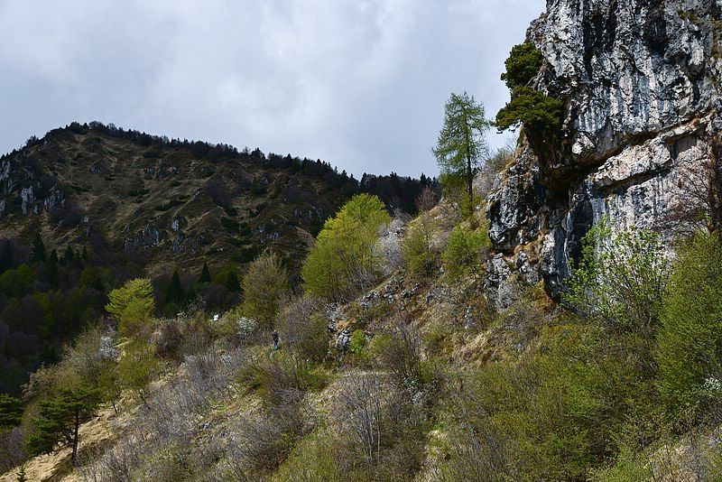 DSC_8744RAW.jpg