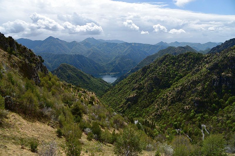DSC_8748RAW.jpg