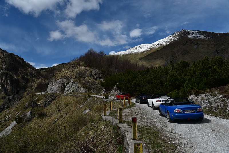 DSC_8821.JPG
