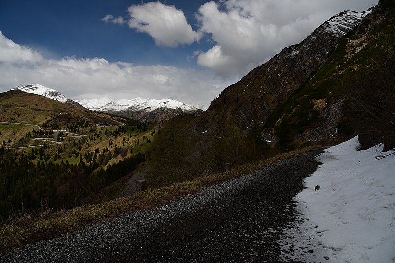 DSC_8851.JPG