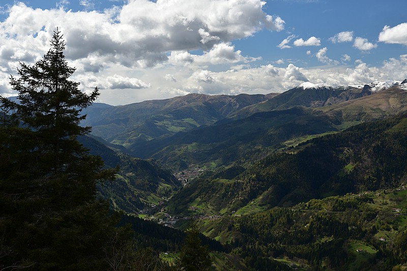 DSC_8854.JPG