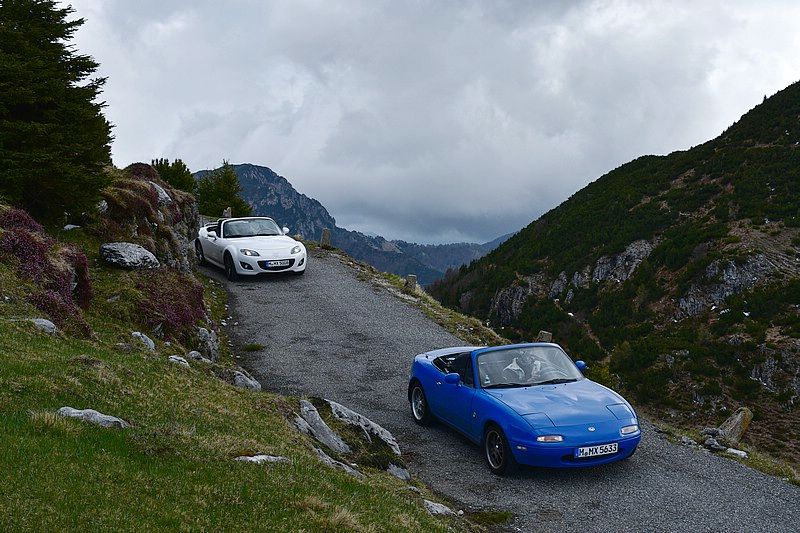 DSC_8860RAW.jpg