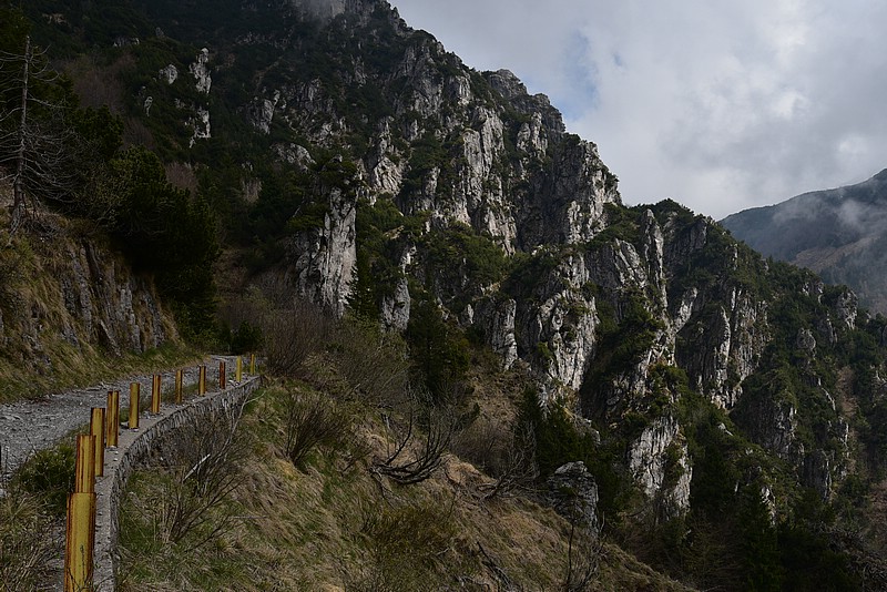 DSC_8903.JPG