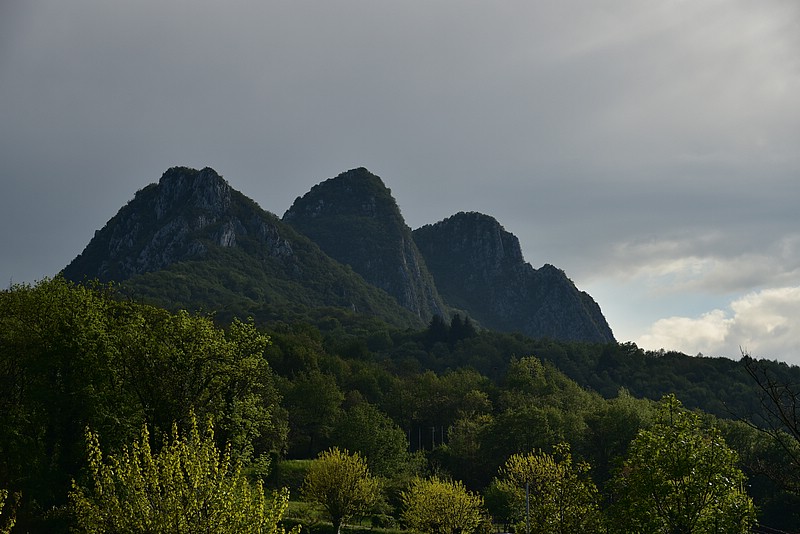 DSC_8980.JPG