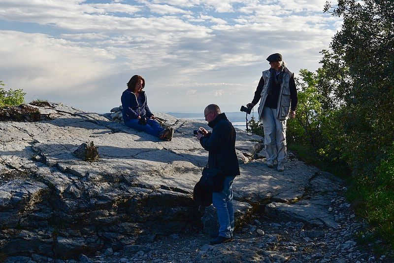 DSC_9003RAW.jpg