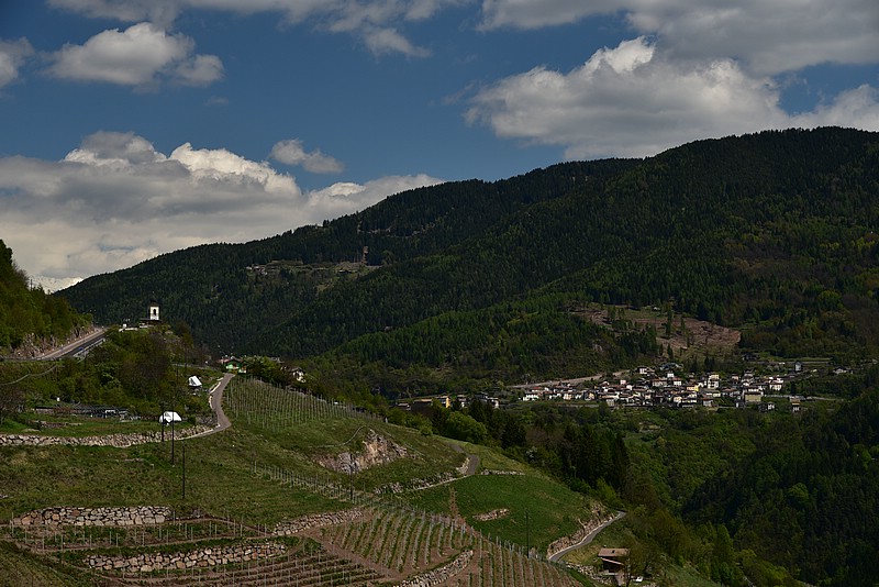 DSC_9052.JPG