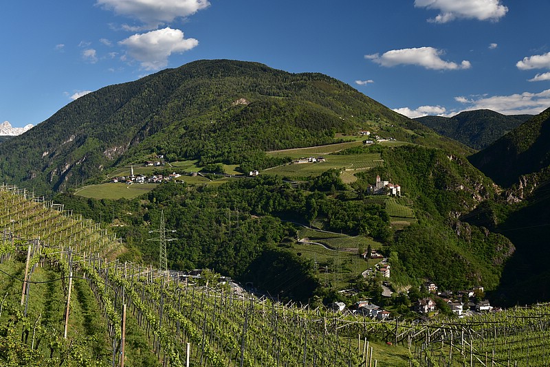 DSC_9092.JPG