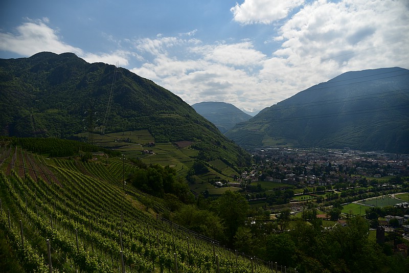 DSC_9190.JPG