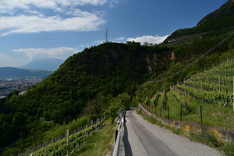 DSC_9205.JPG
