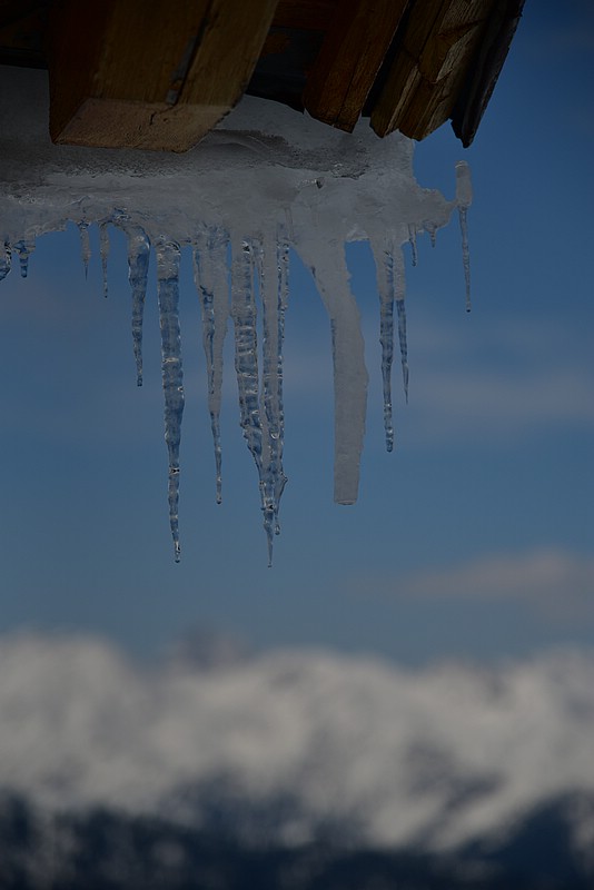 DSC_9246.JPG