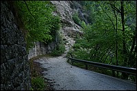 DSC_8596RAW.jpg