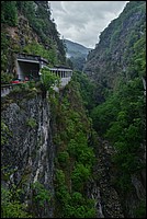 DSC_8627RAW.jpg