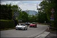 DSC_8656.JPG