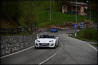 DSC_8670.JPG