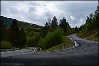 DSC_8674RAW.jpg