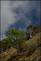 DSC_8733.JPG