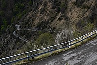 DSC_8738RAW.jpg
