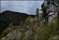 DSC_8744RAW.jpg