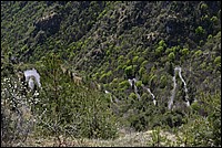 DSC_8750.JPG